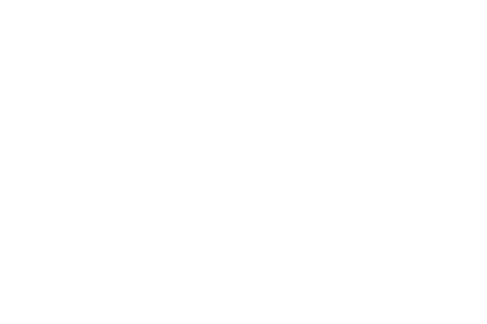 Телевидение РТВ